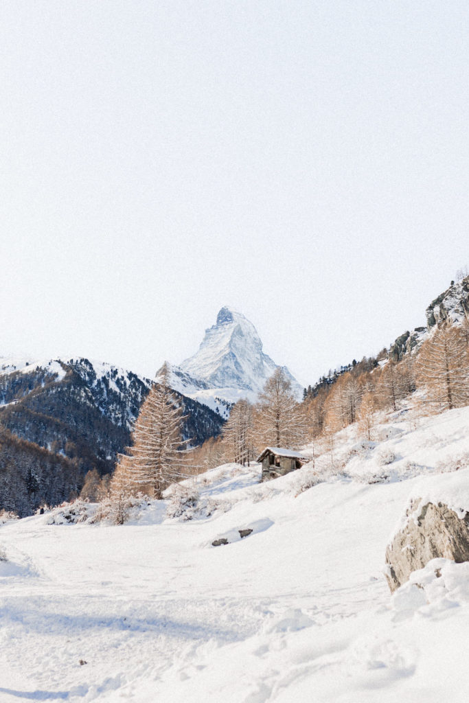 wedding mont cervin palace