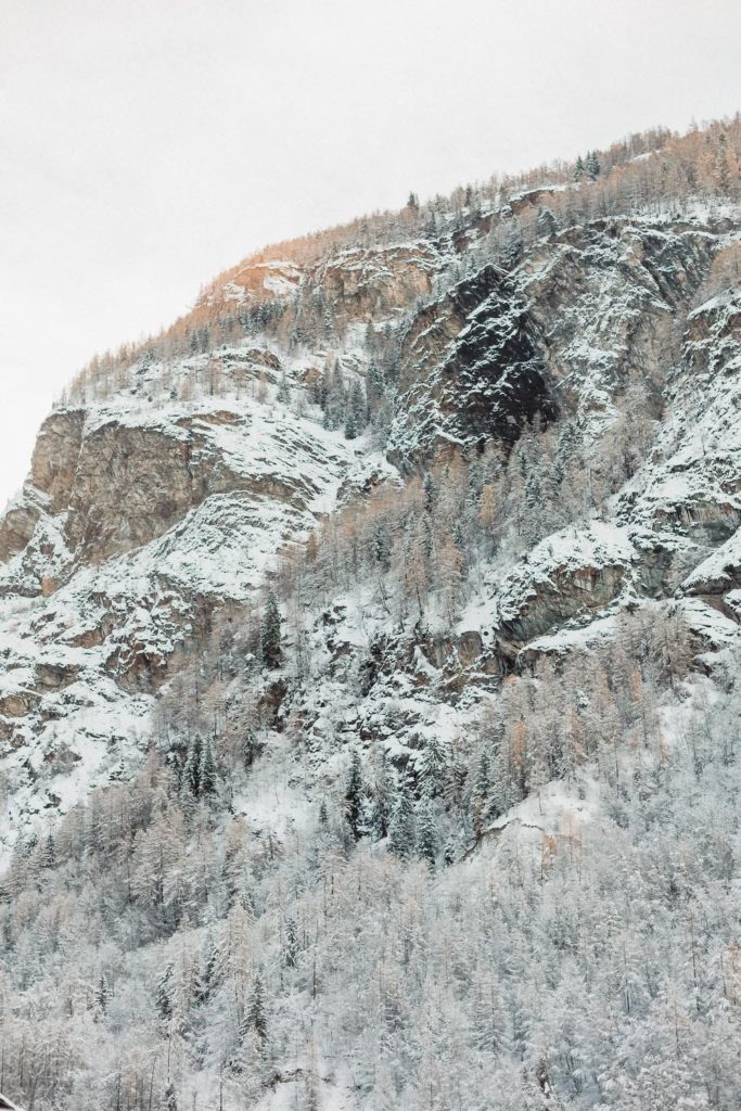 wedding mont cervin palace