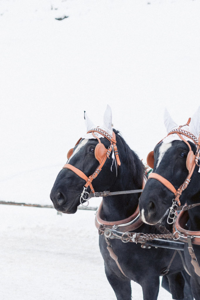 wedding mont cervin palace