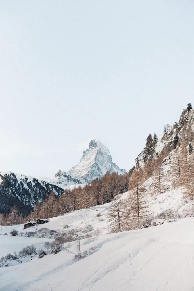 wedding mont cervin palace