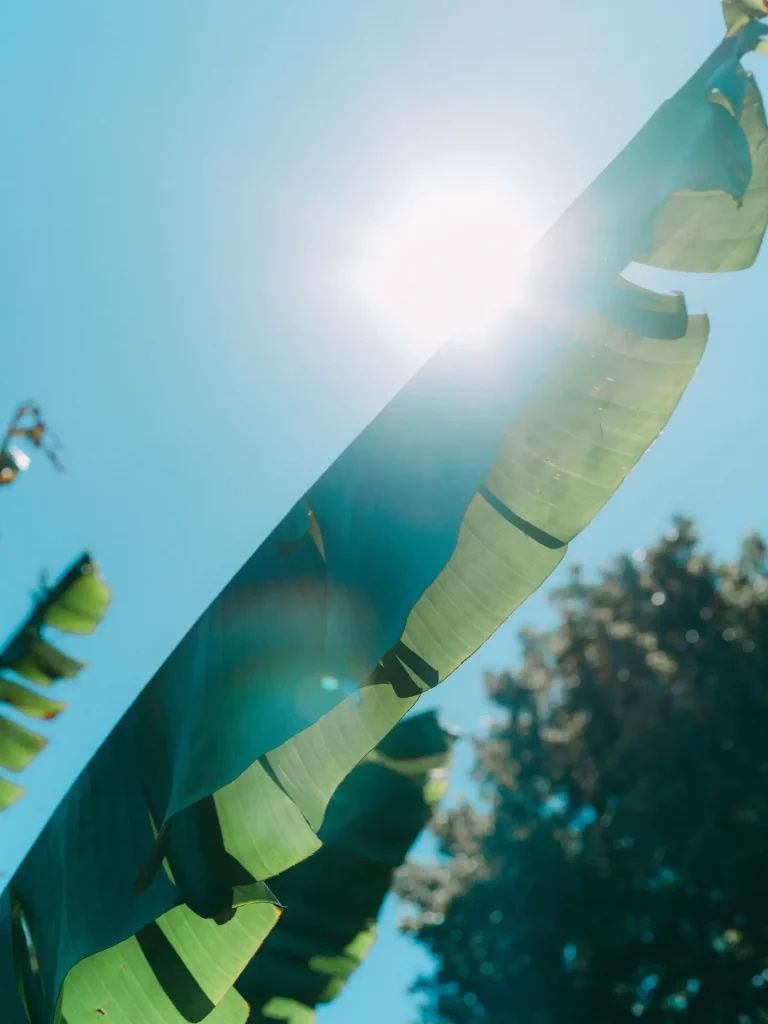 wedding chateau de laubardemont